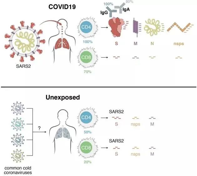 1672303902706678.jpg 微信图片_20221229164924.jpg